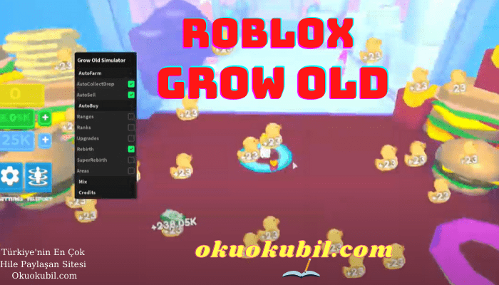 Roblox Grow Old Auto Farm Simulator Script İndir