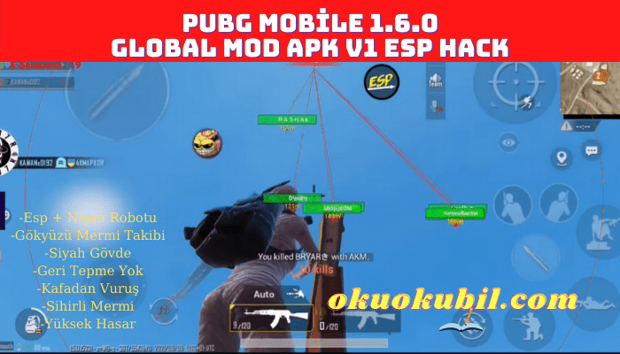 Pubg Mobile 1.6.0 Global Mod Apk V1 Esp Hack