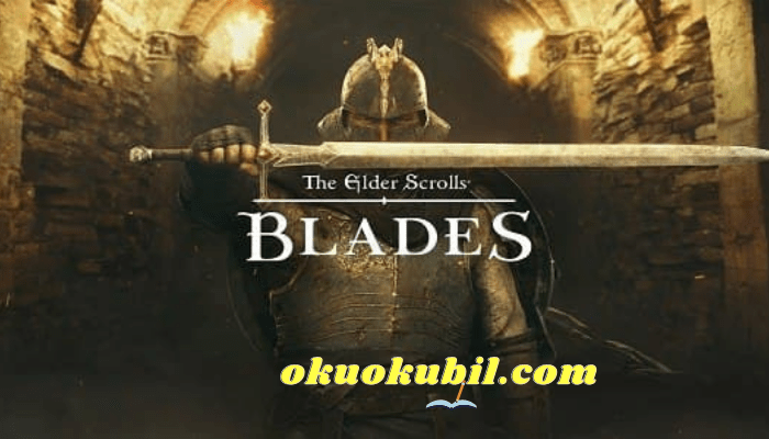 The Elder Scrolls Blades v1.17.0.1717027 Mod Apk