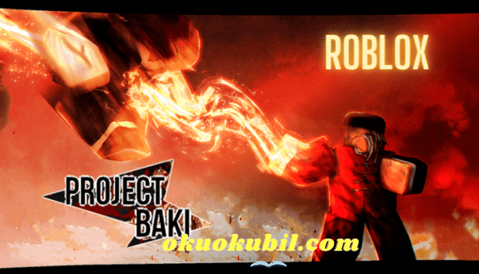 Roblox Project Baki 2 AFK Boks Torbası Çiftliği Script