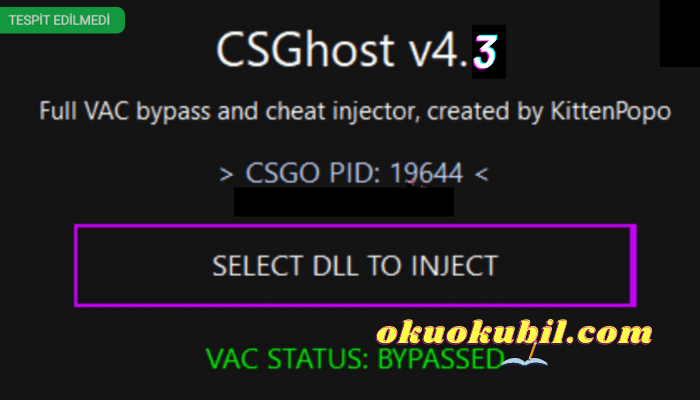 CSGhost v4.3 CSGO Hilesi İçin Bypass Injector