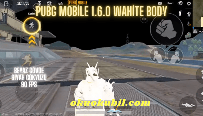 Pubg Mobile 1.6.0 Wahite Body Black SKY 90 FPS