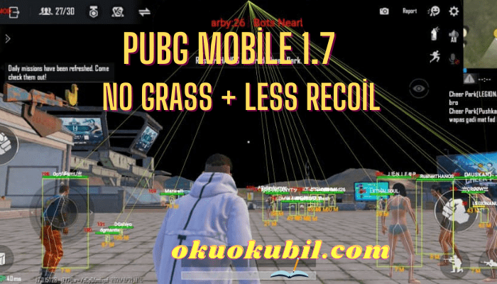 Pubg Mobile 1.7.0 No Grass + Less Recoil Config