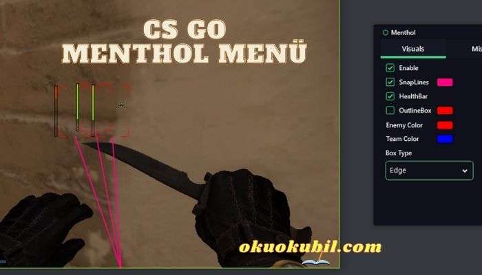 CS GO Menthol Menü ESP, WH, Bhop Hileli İndir