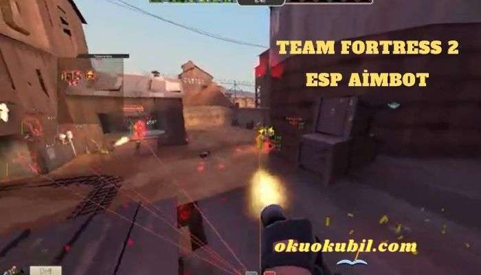 Team Fortress 2 PC SEOwned ESP Aimbot Hileli İndir