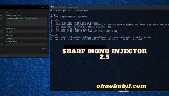 Sharp Mono Injector 2.5 Hile Aracı x64 İndir