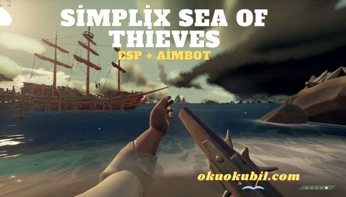 Simplix Sea of Thieves Esp + Aimbot Hileli İndir