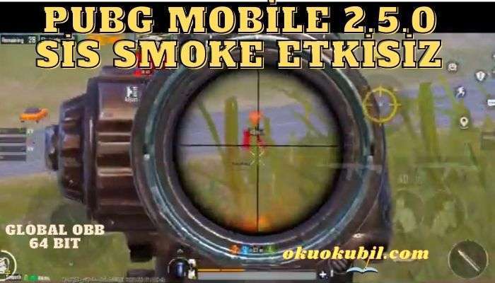 Pubg Mobile 2.5 Sis Smoke Etkisiz Hileli Config İndir
