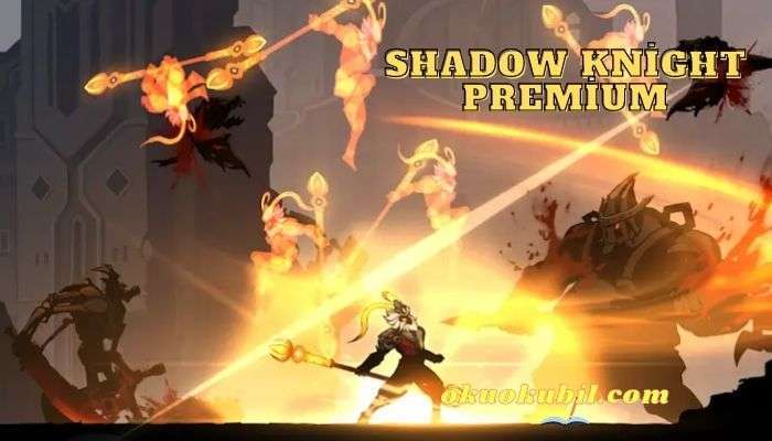 Shadow Knight Premium 3.14.11 Yetenek Hileli Mod Apk