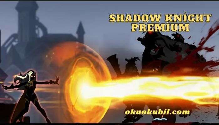 Shadow Knight Premium 3.14.11 Yetenek Hileli Mod Apk