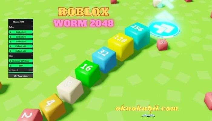 Roblox Worm 2048 Hız Script Hilesi İndir