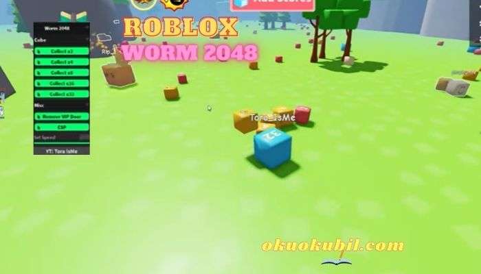 Roblox Worm 2048