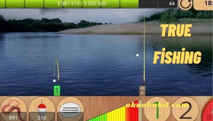 True Fishing 1.16.3.791
