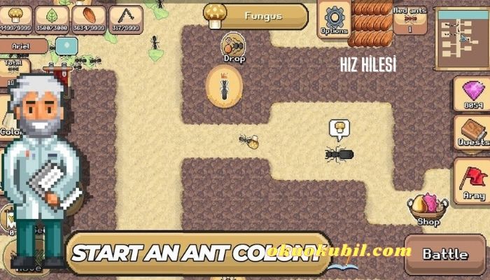Pocket Ants: Colony Simulator 0.0821