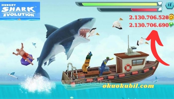Hungry Shark Evolution 10.2.0 Para Hileli Mod Apk İndir