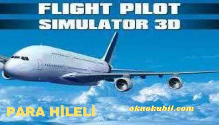 Flight Pilot Simulator 3D v2.10.35