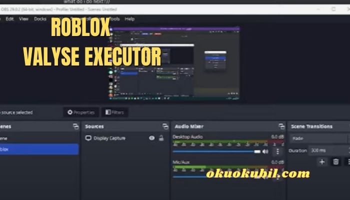 Valyse Executor v1.1.1 b2 İndir