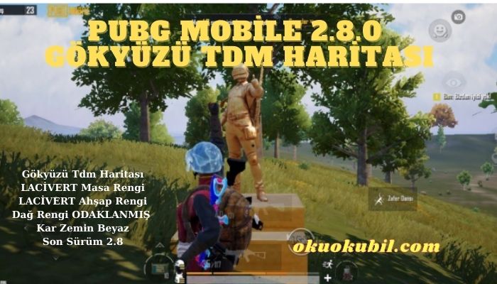 Pubg Mobile 2.8