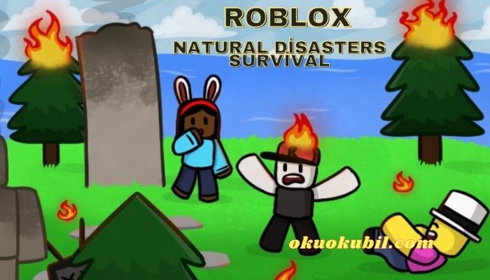 Roblox Natural Disasters Survival