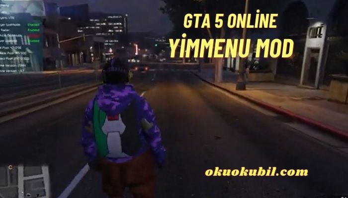 GTA V Online 1.67 YimMenu Mod Hileli İndir