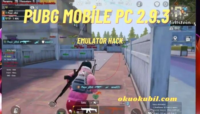 Pubg Mobile 2.9.3 PC Emülatör Duvar Hileli İndir