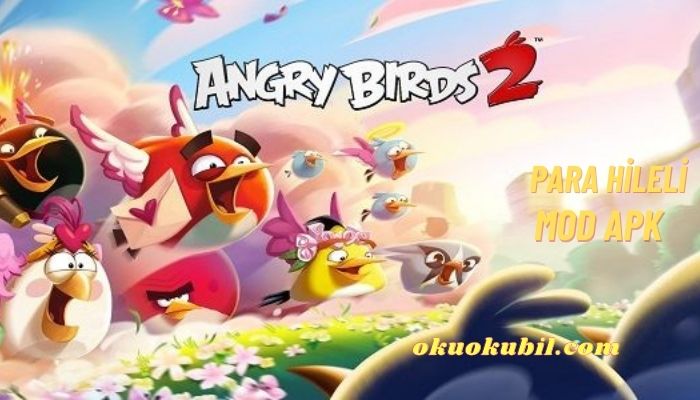 Angry Birds 2 v3.18.3 Para Hileli Mod Apk İndir