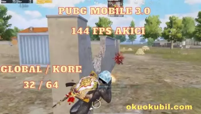 Pubg Mobile 3.0 144 FPS Config İndir