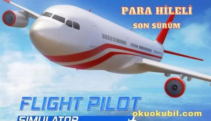 Flight Pilot Simulator 3D 2.11.38 Para Hileli Mod Apk İndir