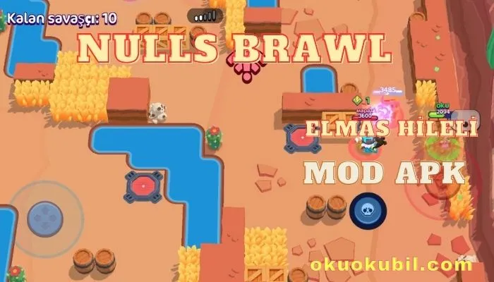 Nulls Brawl With Chinese Skins