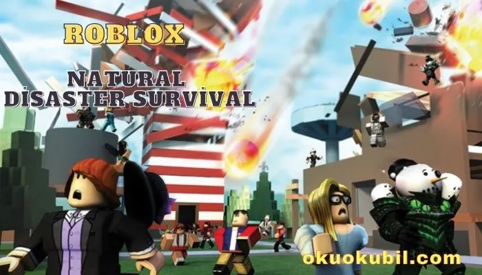 Roblox Mobile Natural Disaster Survival