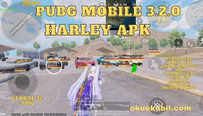 Pubg Mobile 3.2.0 Harley Aimbot APK Hileli İndir